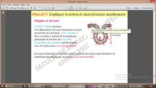 Microdomaine lipidique Raft radeau lipidique [upl. by Zeculon181]