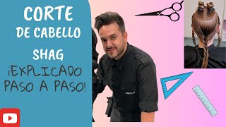 EXPLICACIÓN PASO A PASO DE UN CORTE SHAG [upl. by Dreddy826]