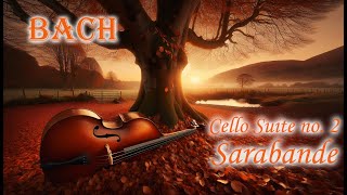 5ths tuning Bach cello suite no2 Sarabande [upl. by Emiline]