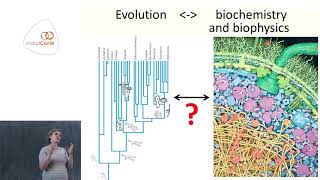 Evolutionary cell biophysics lessons from the yeast polarity network  Liedewij Laan [upl. by Aicillyhp]