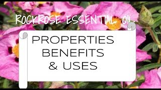 Rockrose Essential Oil  Benefits amp Uses [upl. by Sheridan]