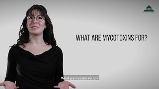 Mycotoxin Minute 73  What are mycotoxins for [upl. by Dodd]