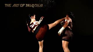 the art of Muaythai [upl. by Ciprian]