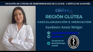 10 REGIÓN GLÚTEA  TUTORÍA DE MORFOFISIOLOGÍA LOCOMOTOR ANATOMÍA 22092024 [upl. by Nossah]