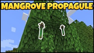 How To Get MANGROVE PROPAGULE In MINECRAFT [upl. by Link157]