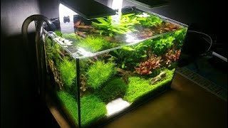 1Akwarium roślinne 25l Aquarium 7 gallon hitech [upl. by Fritze]