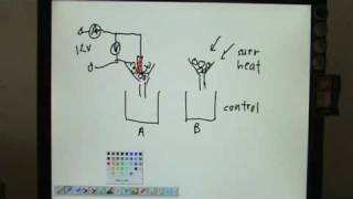 Specific Latent Heat of Fusion amp Vaporisation Lecture 1 [upl. by Eelrahc]