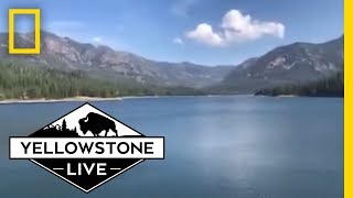 Stunning Views LIVE From Hyalite Canyon  Yellowstone Live [upl. by Yramesor]