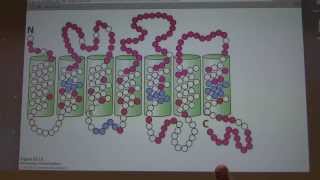 51 Kevin Aherns Biochemistry  Sensory Biochemistry [upl. by Lunseth]