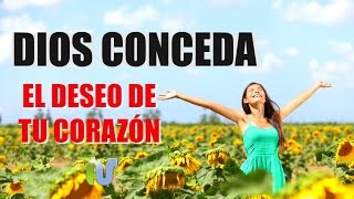 QUE DIOS te de El Deseo de Tu Corazón  REFLEXIONES CRISTIANAS HABLADAS [upl. by Leerzej]