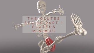 Glutes Series Part 1 Gluteus Minimus 3D Animation [upl. by Hanej]