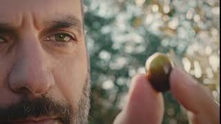 The Filippo Berio Olive Oil Advertisement [upl. by Llenrahs]