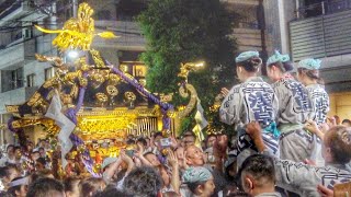 【東京】女性だけで巨大神輿を担ぐ 20230520 三社祭 浅草神社例大祭 西浅三北 神輿渡御 [upl. by Vookles939]