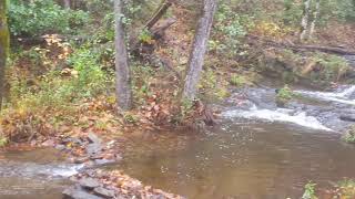 Creek in Cades Cove [upl. by Ferne]