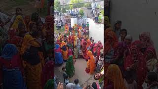 Baga mein phool rajasthani song song newsong [upl. by Naitsihc]