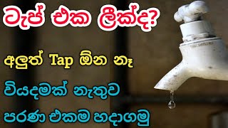 How to Tap leakage repairing  water tap repair  Plumbing Tips and Hacks  do it yourself [upl. by Gathers]