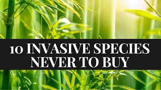 10 Invasive Plant Species You Should NEVER Buy [upl. by Smailliw]