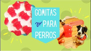 Gomitas para Perros 🐾  DIY 🙌  Premios caseros 🏠 [upl. by Eerok315]