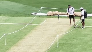 How is pitch at Perth amp is Ashwin certain to play [upl. by Ennoira]