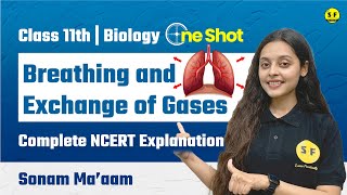 Breathing and Exchange of Gases One Shot  Class 11th Biology NCERT Explanation  By Sonam Maam [upl. by Elamrej]