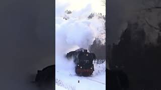 Winterdampf mit 44 1486 Oberhof train dampflok trainspotting railway steamtrain history sound [upl. by Manlove]