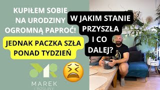 Szok Ogromna połamana roślina po ponad tygodniu w drodze😵 Kupiłem sobie wielki prezent urodzinony [upl. by Hctub]