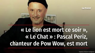 « Le lion est mort ce soir » « Le Chat »  Pascal Periz chanteur de Pow Wow est mort [upl. by Adnak72]