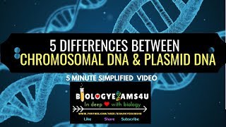 5 Differences between Chromosomal DNA and Plasmid DNA [upl. by Caritta]