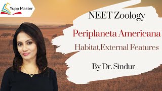 Periplaneta Americana 1 Habit Habitat  NEET ZoologyClass XI English DrSindur [upl. by Ahsya413]