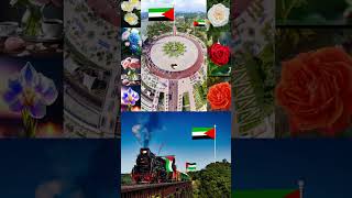 TOP 5 PALESTINE NASHEED 🍉✌🤲❤  Best Nasheed for Palestine viral youtubeshorts shortsfeed shorts [upl. by Assirok]