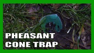 How to make a cone pheasant trap [upl. by Nylhtiak563]