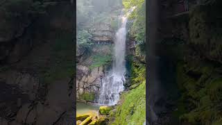 Giessbach Waterfalls  Switzerland 🇨🇭 switzerland nature [upl. by Chapen748]