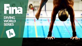 FINANVC Diving World Series 2017  Trailer [upl. by Enale]