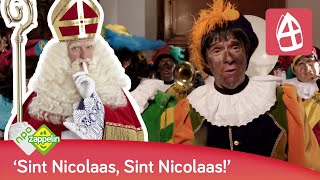 HOOR WIE KLOPT DAAR KINDEREN  Sinterklaasliedjes  NPO Zappelin [upl. by Hareehahs]