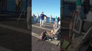 Catching Pompano Navarre Pier Spanish Mackerel underwater fishing pierfishing fish [upl. by Tamer]