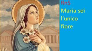 RnS Maria sei l unico fiore [upl. by Ashby514]