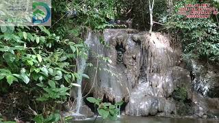 VLOG 62 FARM LOT WITH FALLS SA GUINAYANGAN QUEZONsee description [upl. by Siger911]