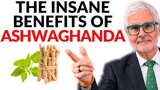 The Insane Benefits of Ashwaghanda  The Ancient Testosterone Boosting Herb  Dr Steven Gundry [upl. by Malanie460]