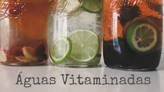 3 Águas Vitaminadas Para O Verão  Vegan [upl. by Gillie876]