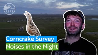 Experience a midsummer night in Lewis listening for endangered Corncrakes [upl. by Lohman]