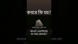 What happens in grave KABIR AZABI  Turkey Movie Bangla Subtitled  কবরের আযাব  তুর্কি সিনেমা [upl. by Eddina]