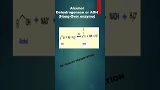 Isoenzymes of Alcohol Dehydrogenase shorts [upl. by Joost184]