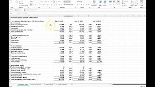 Horizontal Analysis on the Balance Sheet amp Income Statement [upl. by Porche12]