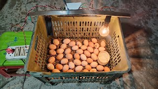 Incubator for chicken eggs  How to make an incubator at home and hatch chickens eggs [upl. by Alusru]