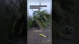 Severely damaged buildings and fallen trees are seen in the aftermath of Super Typhoon PepitoPH [upl. by Paz518]