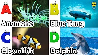 ABC phonics animals  ABC Sea Animals song  English and Animals for Kids  Alphabets Kids Song [upl. by Irmina]