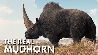 Elasmotherium The Real Mudhorn [upl. by Corrine126]