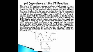 Chymotrypsin Reaction Mechanism  Acylenzyme intermediate  pH dependence of the CT reaction [upl. by Catto173]