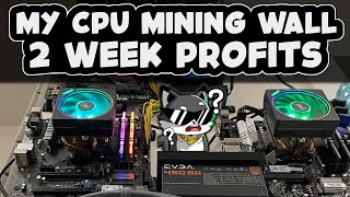 My CPU Mining Profit Update [upl. by Ennobe]