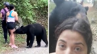 Woman takes selfie with bear on hiking trail in Mexico [upl. by Bonny]